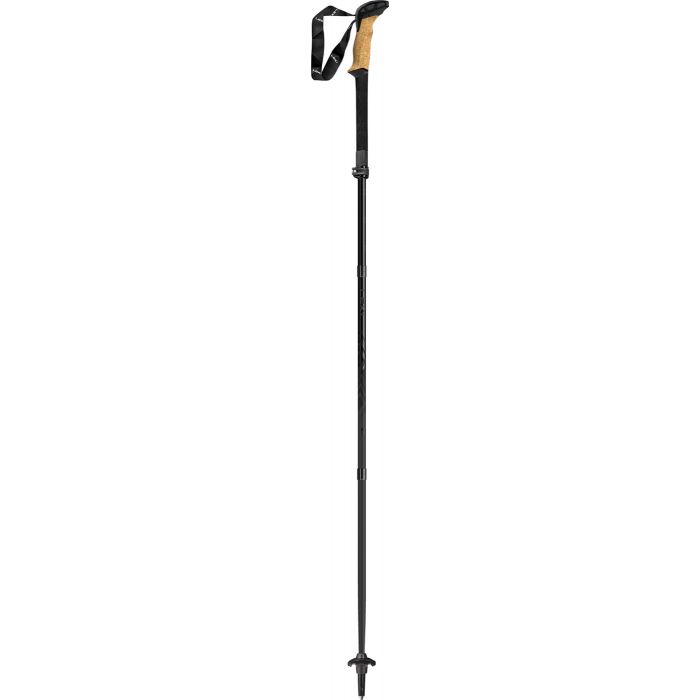 LEKI Black Series FX Carbon main product photo